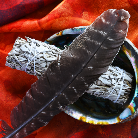 Barred Turkey Smudge Feather